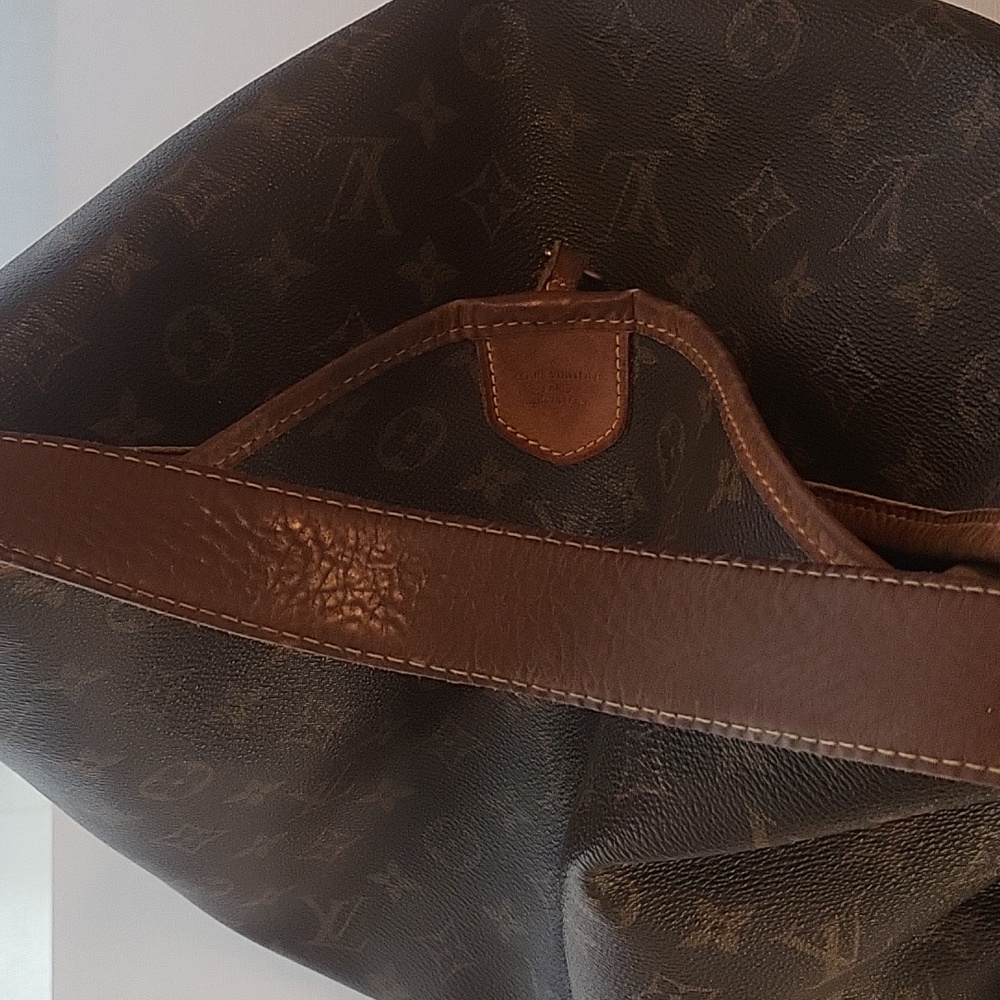 Host Pick ✨️ Louis Vuitton Delightful PM Purse - Picture 9 of 13